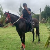 Panun chico soltero en Punta Del Este