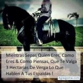 Foto de perfil de Elsoneisas