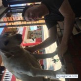 Chatear con Albertogm6 de Chelsea