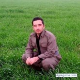 faxir chico soltero en 