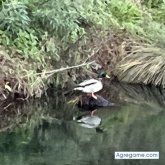 JoanBCN81 chico soltero en Santa coloma de cervello