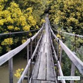 IscoA88 chico soltero en Angol