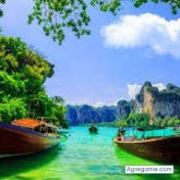 nelson301989 foto #19