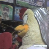 carm chico separado en Culiacán