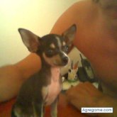 cyberrumbo chico soltero en 