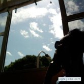 Alexandroh foto #14