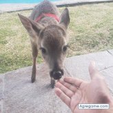 Susejaprec chico soltero en Dover