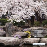 musa chica soltera en Sevilla