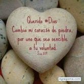 Jorge Samuel Choque