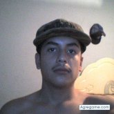 robertodm