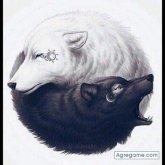 Chatear con Vido08 de Moquegua Ciudad