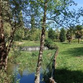 Marymaria chica soltera en Lalin