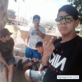 wiliharflores