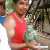 Chatear con Cristhiancv de Julio Andrade