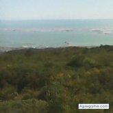 manager695 chico soltero en Deltebre