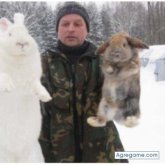 Completo. Busco conocer gente. Gente