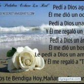 Chatear con sandrosworowski de Puerto Esperanza