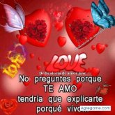 Fugazjor chico soltero en San Miguel