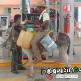 ramos1978fernando chico soltero en Villa De álvarez