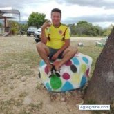 Ver fotos más de domarferney