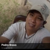 Pedro bravo