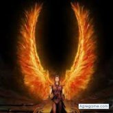 andresmambuca8000 foto #34