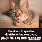 albalisa12 chica soltera en Sabana Perdida