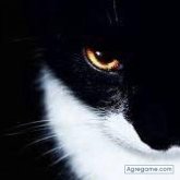 Chatear con junioralex9238 de La Fría