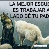 Liverto88 chico soltero en Caspe