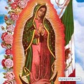 Busco matrimonio. Alguna mujer. Una