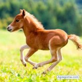 Chatear con Cuautemo216 de Axochiapan