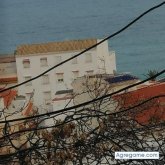 Busco pareja. Mujer. No se. Bueno.