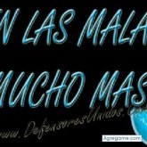 Maico foto #10