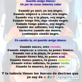 Reymond foto #12