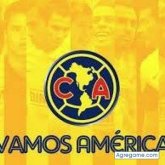Foto de perfil de fernandosanchez6959