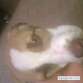 Foto de perfil de erwinpena