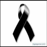David Lasluisa Bermeo