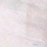 Foto de perfil de washingtonwarner
