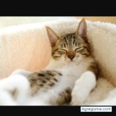 Chatear con maduritomazatlan1962 de Mazatlán