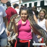 AZAHARAPARATI chica soltera en Toledo