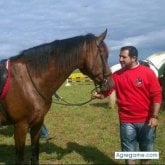 Chatear con andresrois de Sigüeiro Oroso