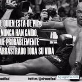 Ver fotos más de JACk567