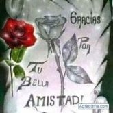 Foto de perfil de patrisiogarcia
