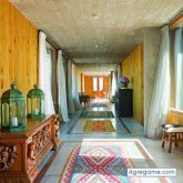 aeleonaeleon chico soltero en Campo Quijano