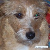 GABIGG chico soltero en Torrelavega