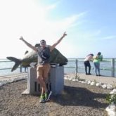 Relaciones públicas. Busco conocer