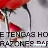 Chatear con danieltrinidad de Paysandú Ciudad