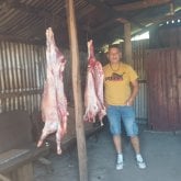 Julio198240