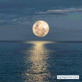 Chatear con op1986 de New Brunswick