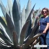 Busco hacer amistades. Personas, amigos.